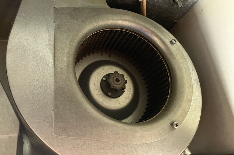 IMG_9391