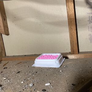 IMG_0974