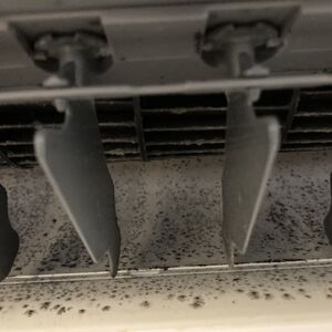 IMG_1178
