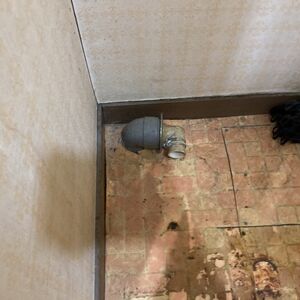 IMG_0939